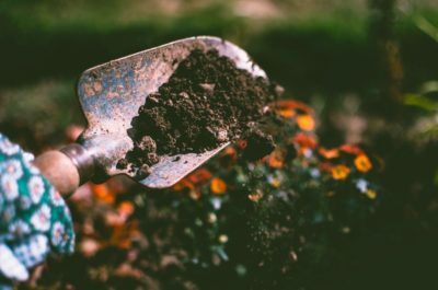 image_2024-07-02_025042106