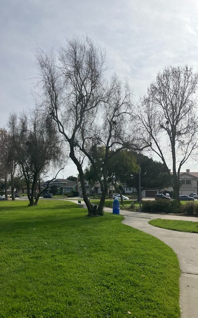 sam-johnny-johnson-PbOnnVmQnSo-unsplash (1)