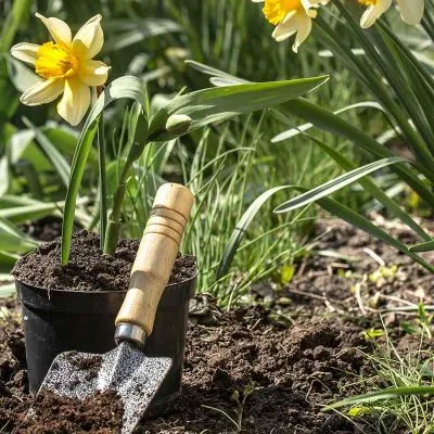 image_2024-04-17_043306992