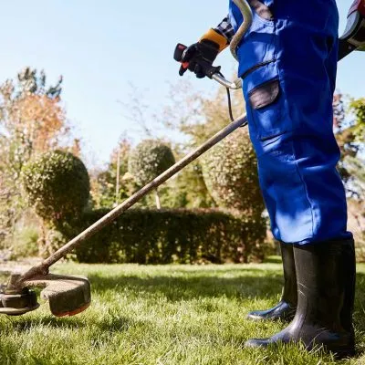 image_2024-04-17_043311232