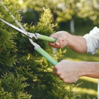 image_2024-04-17_043315647