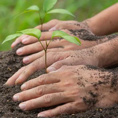 image_2024-04-17_043323826