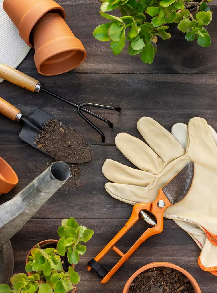 image_2024-04-17_044741772